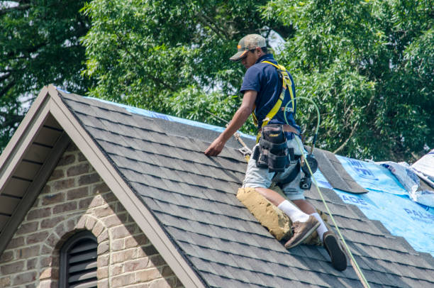 Best Storm Damage Roof Repair  in Montgomery Village, MD